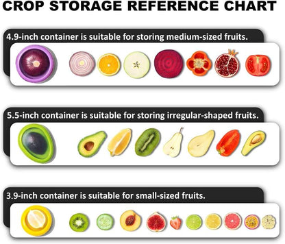 Freshness, Sealed - 🍅 Stop Food Waste Today