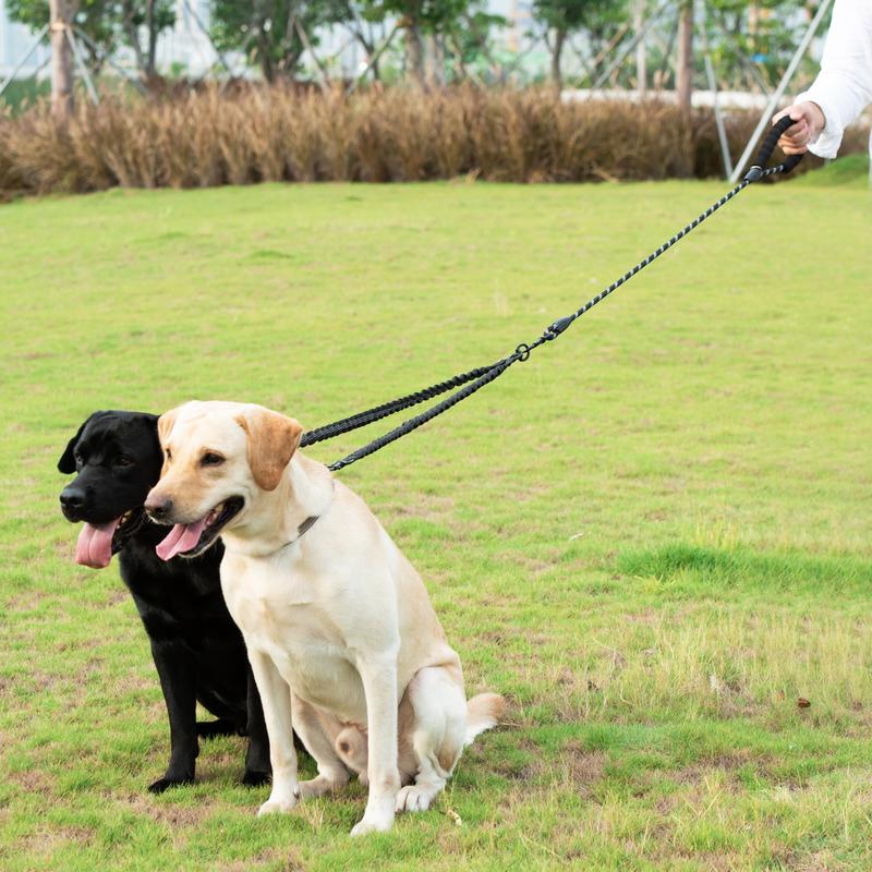 Dual Dog Leash, Double Dog Leash, 360 Swivel No Tangle Walking Leash, Shock Absorbing Bungee for Two Dogs