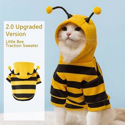 🐝🐾Little Bee Cat Traction Sweater - 2.0 Upgraded Version