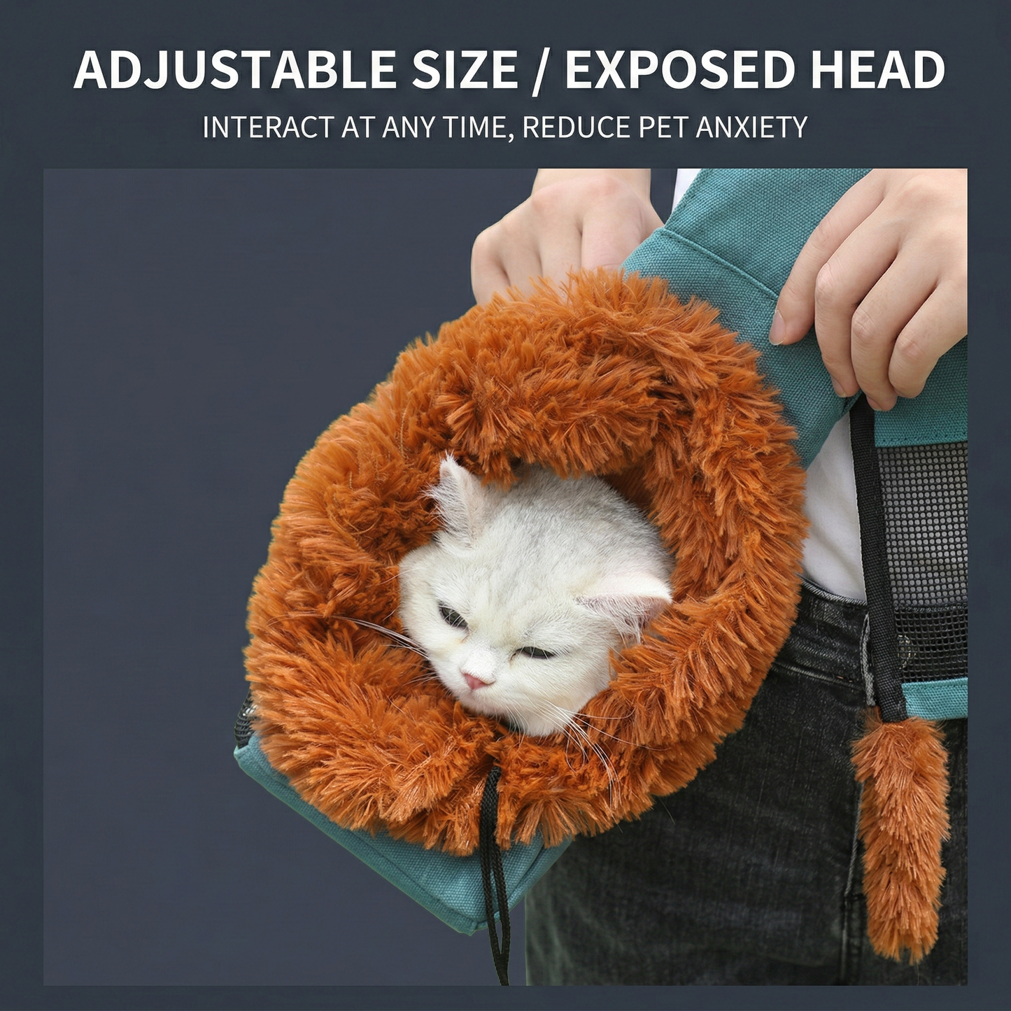 🦁 Lion-Themed Cat & Small Dog Shoulder Carrier Bag