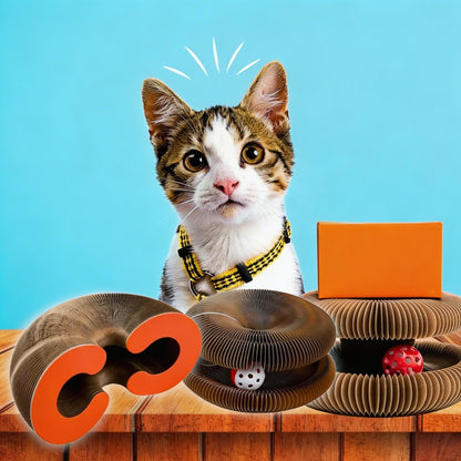 Interactive Cat Scratcher with Ball Track – Shape-Shifting Endless Rolling Toy for Indoor Cats Mental & Physical Stimulation