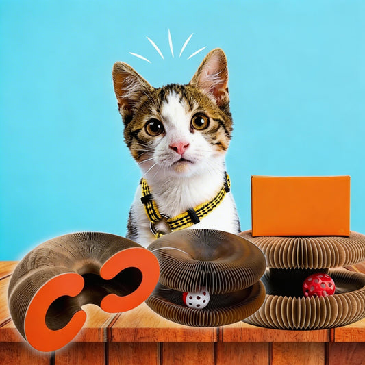 Interactive Cat Scratcher with Ball Track – Shape-Shifting Endless Rolling Toy for Indoor Cats Mental & Physical Stimulation