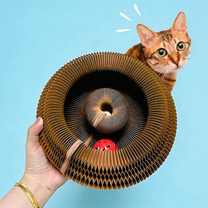 Interactive Cat Scratcher with Ball Track – Shape-Shifting Endless Rolling Toy for Indoor Cats Mental & Physical Stimulation