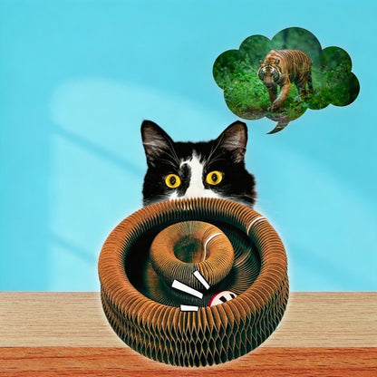 Interactive Cat Scratcher with Ball Track – Shape-Shifting Endless Rolling Toy for Indoor Cats Mental & Physical Stimulation