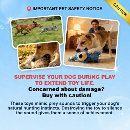 Interactive Squeaky Plush Dog Toys -  Suitable for Throwing and Catching Games but Not Chew Toys