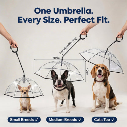 Adjustable Dog Umbrella Leash – Keep Your Pup Dry in Rain & Snow ☔🐶