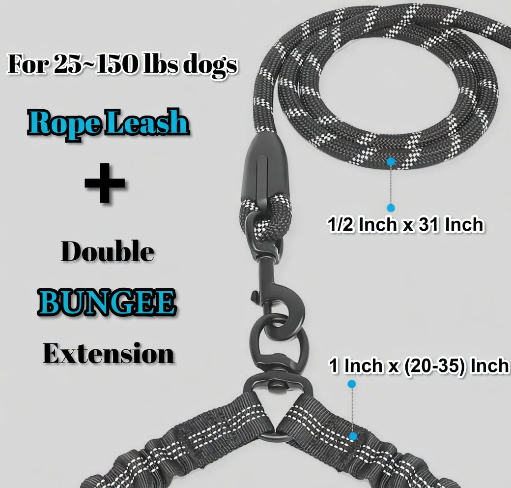 Dual Dog Leash, Double Dog Leash, 360 Swivel No Tangle Walking Leash, Shock Absorbing Bungee for Two Dogs